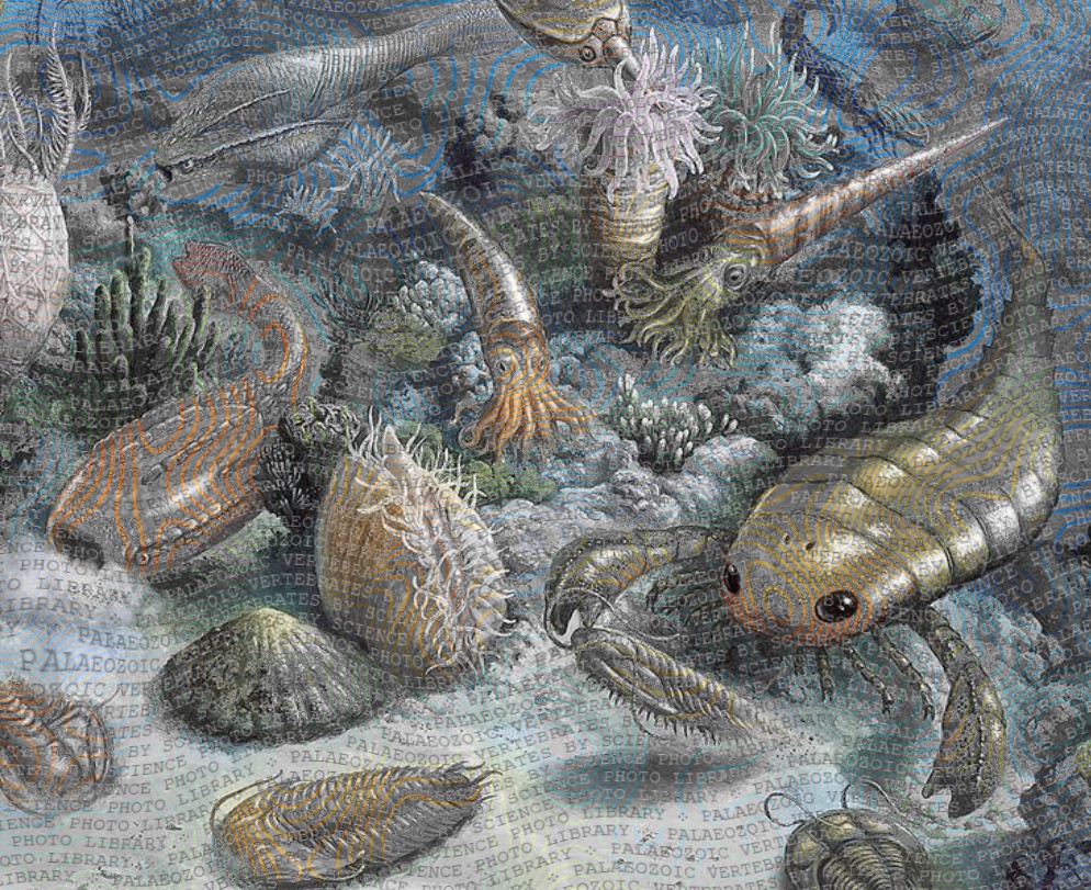 Paleozoico